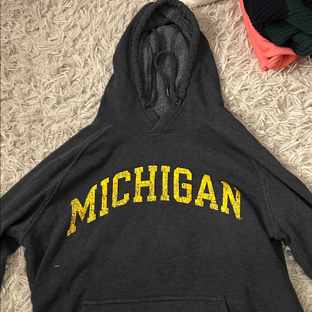 Champion Charcoal Hoodie with Yellow Michigan Print